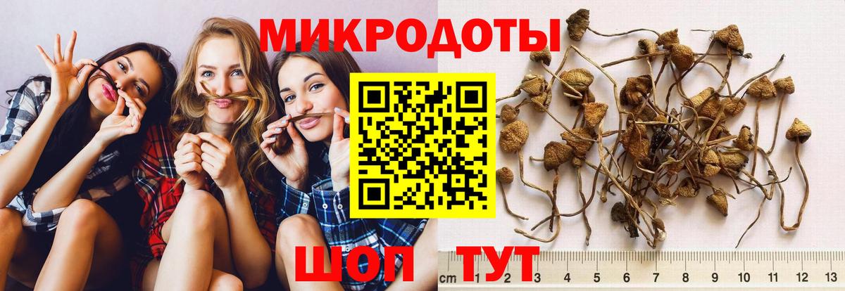 Галлюциногенные грибы мицелий Бердск